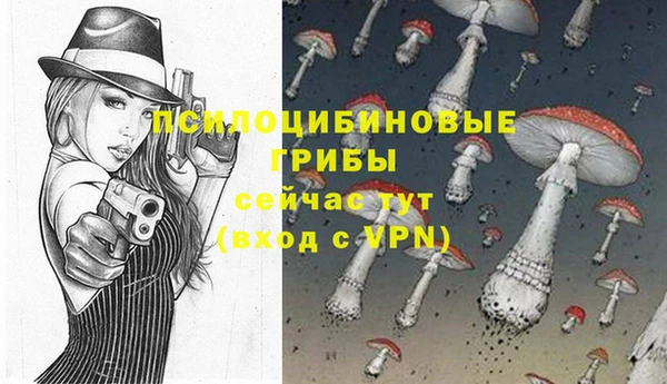 Альфа ПВП Волоколамск