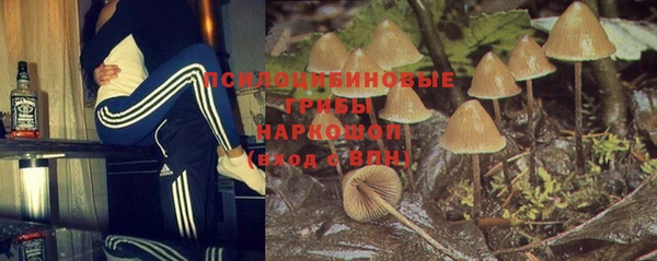 Альфа ПВП Волоколамск